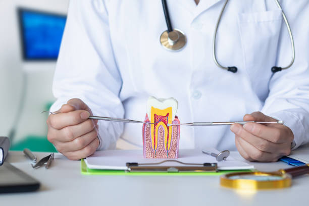 Best Emergency Dental Care for Sports Injuries in Chelsea, MI